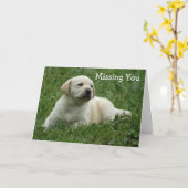 Ontbreekt u Yellow Labrador Retriever Puppy Kaart (Gele Bloem)