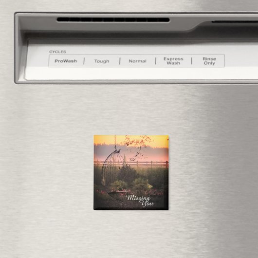 Ontbrekend bericht magneet (Insitu (Vaatwasser))