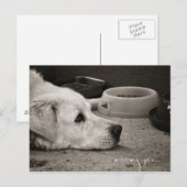 Ontbrekend - Briefkaart (Voorkant / Achterkant)