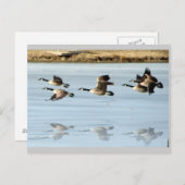 Ontbrekend Briefkaart (Voorkant / Achterkant)