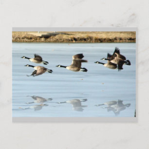 Ontbrekend Briefkaart