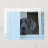 Ontbrekend Briefkaart (Voorkant / Achterkant)