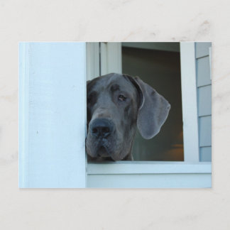 Ontbrekend Briefkaart