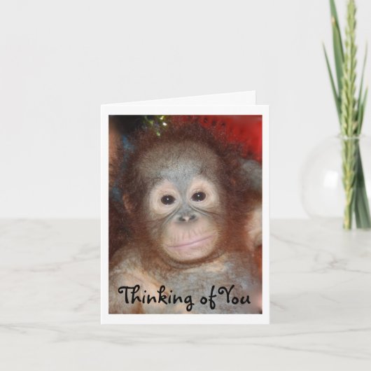 Ontbrekend je verdrietig gezicht baby dier kaart (Voorkant)