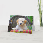 Ontbrekend U Golden Doodle Wenskaart Kaart (Achterkant)