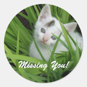 Ontbrekend U Kitten Ronde Sticker