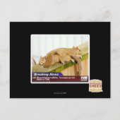 Ontbrekende berichten briefkaart (Voorkant)