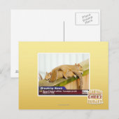 Ontbrekende berichten briefkaart (Voorkant / Achterkant)