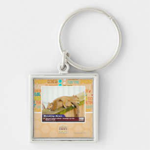 Ontbrekende berichten sleutelhanger