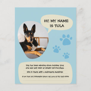 Ontbrekende Hond Modern Blauw Foto Poster Flyer