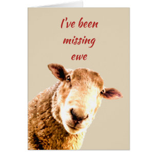 Ontbrekende Humor van schaap en schaap