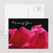 Ontbrekende roze roze roze roze petals briefkaart (Voorkant / Achterkant)