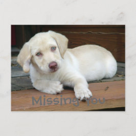 Ontbrekende U Yellow Labrador Retriever Briefkaart