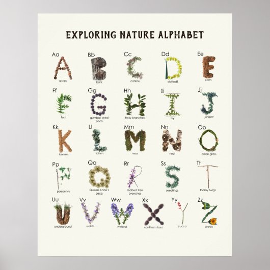 Ontdekkingsalphabet Natuur | Bos ABC Peuterklas Poster (Voorkant)