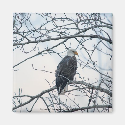 ontevreden magneet (Voorkant)