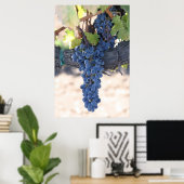 OnTheVine Poster (Thuiskantoor)