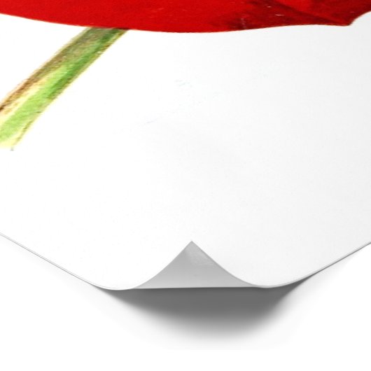 Onthoud. Het is gemakkelijk om de vrijheid als van Poster (Hoek)