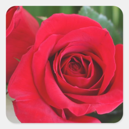 Onthoud liefde vierkante sticker (Voorkant)