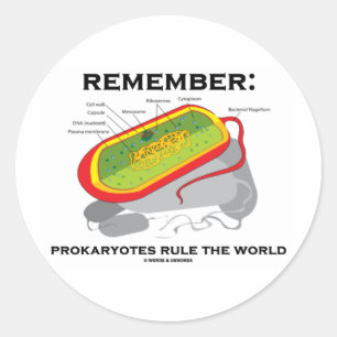 Onthoud: Prokaryotes regelt de wereld Ronde Sticker