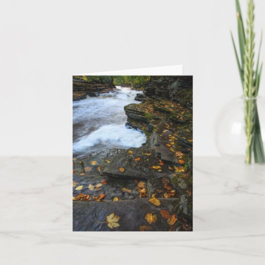 ontketend kaart (Voorkant)