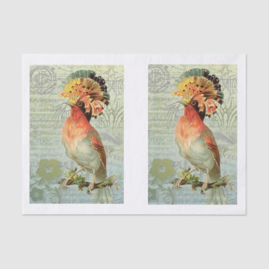  ontkleurde kunstvogel  tissuepapier (Voorkant)