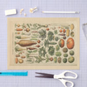 Ontkoppel papier 10 x 15 inch - Botanisch artikel  (Craft)