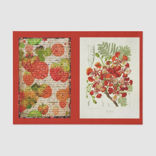 Ontkoppeld papier 10 x 15 inch - Botanisch artikel (Voorkant)