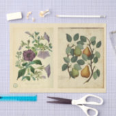 Ontkoppeld papier 10 x 15 inch - Botanisch artikel (Craft)