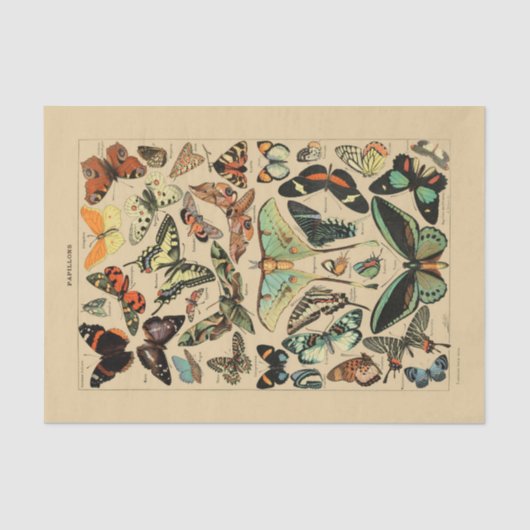 Ontkoppeld papier 10 x 15 inch -  vlinder art 1 (Voorkant)