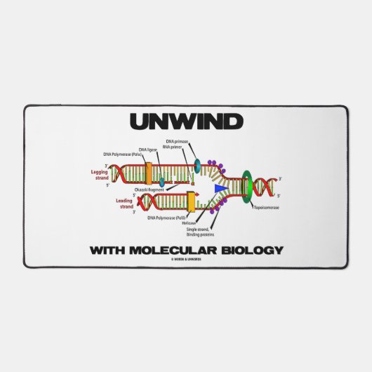 Ontkoppelen van DNA-replicatie van moleculaire bio Bureaumat (Voorkant)