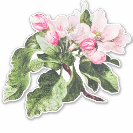 Ontkoppeling en ambachtelijke processen van Floral Sticker (Voorkant)
