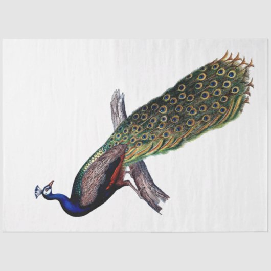  ontkoppeling van Antiek peacock Tissuepapier (Voorkant)