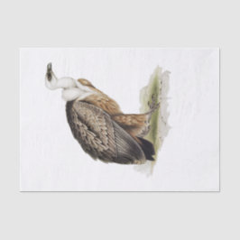 Ontkoppeling van de wijnbouw met Griffon Tissuepapier