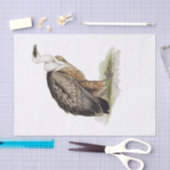 Ontkoppeling van de wijnbouw met Griffon Tissuepapier (Craft)