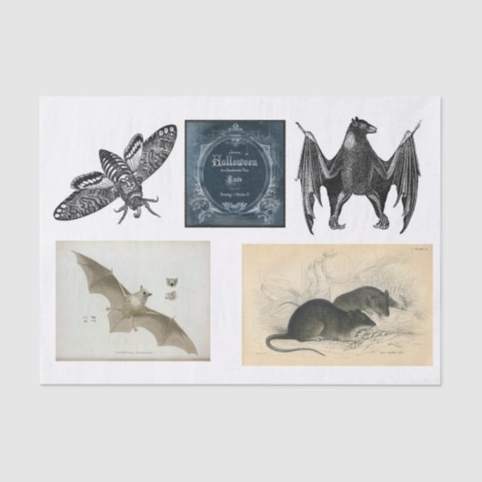 Ontkoppeling van het collectie Halloween Tissuepapier (Voorkant)