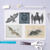 Ontkoppeling van het collectie Halloween Tissuepapier (Craft)