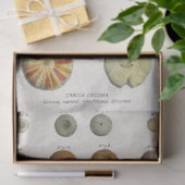 ontkoppeling van het mariene leven tissuepapier (Geschenk)