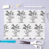 Ontkoppeling van het Plant van het Paradijs Tissuepapier (Craft)