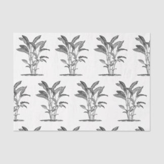 Ontkoppeling van het Plant van het Paradijs Tissuepapier