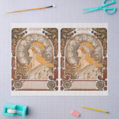  ontkoppeling van het Zodiac-collage Tissuepapier (Craft)