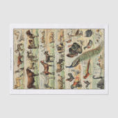 Ontkoppeling van landbouwhuisdieren tissuepapier (Voorkant)