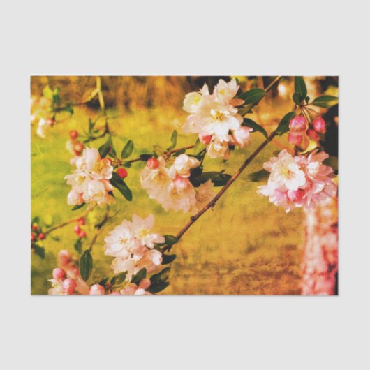 ontkoppeling van lentroze en witte bloesems tissuepapier (Voorkant)