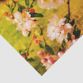 ontkoppeling van lentroze en witte bloesems tissuepapier (Detail)