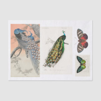 Ontkoppeling van peracock en vlinder tissuepapier