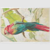  ontkoppeling van tropische vogelsoorten tissuepapier (Voorkant)