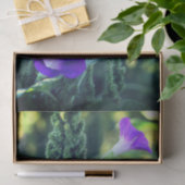 Ontkoppeling van Wild Morning Glory Flowers Tissuepapier (Geschenk)