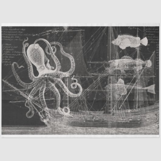  ontkoppeling van zwarte en witte Oceaan Tissuepapier (Voorkant)