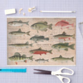 Ontkoppeling zoetwatervis van Noord-Amerika Tissuepapier (Craft)