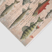 Ontkoppeling zoetwatervis van Noord-Amerika Tissuepapier (Detail)