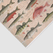 Ontkoppeling zoetwatervis van Noord-Amerika Tissuepapier (Detail)